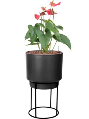 Hydroculture