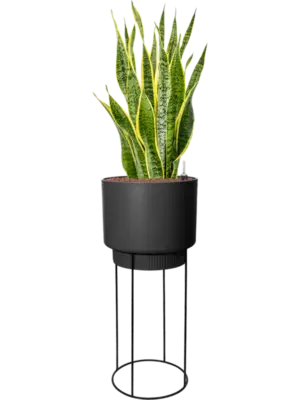 Hydroculture
