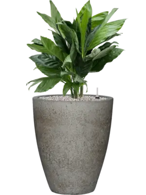 Soil (Vulkastrat)