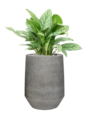 Soil (Vulkastrat)