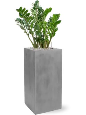 Soil (Vulkastrat)