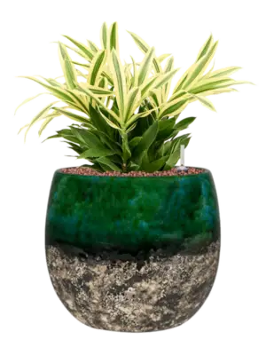 Hydroculture