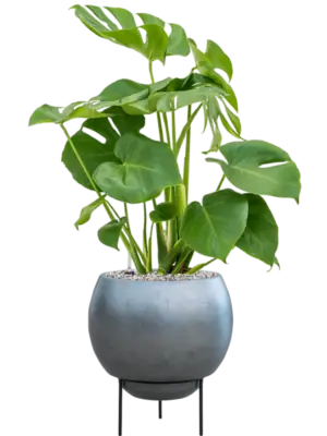 Soil (Vulkastrat)