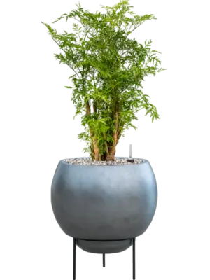 Soil (Vulkastrat)