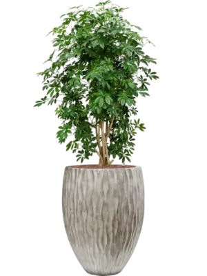 Hydroculture