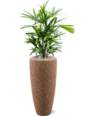 Soil (Vulkastrat)