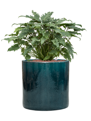 Hydroculture