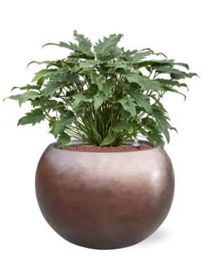 Hydroculture