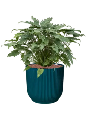 Hydroculture