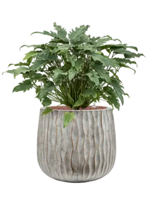 Hydroculture