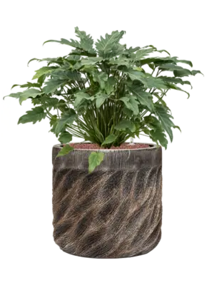 Hydroculture