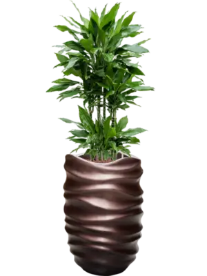 Hydroculture