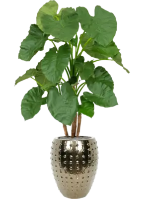 Artificial glued