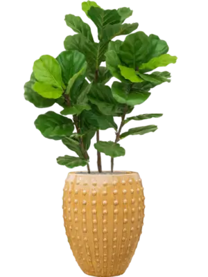 Artificial glued