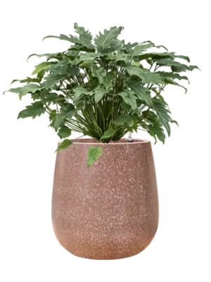 Hydroculture