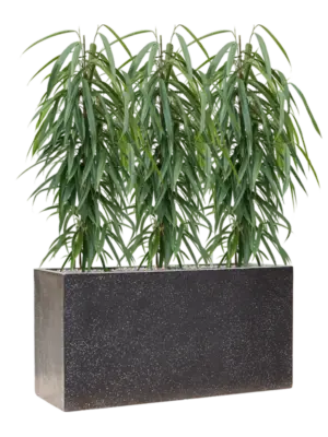 Soil (Vulkastrat)