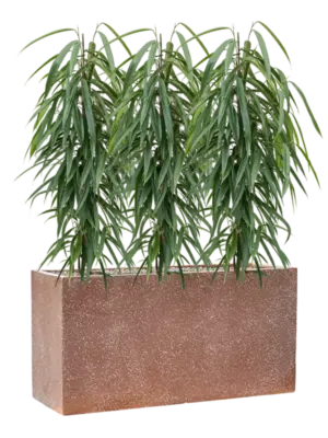 Soil (Vulkastrat)