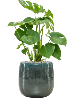 Soil (Vulkastrat)