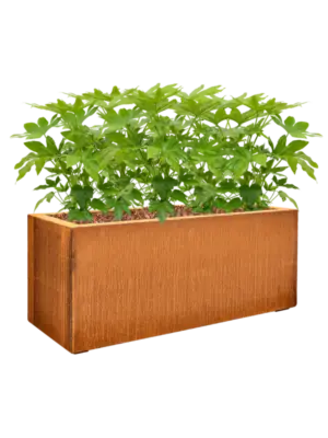Soil outdoor with Bark
