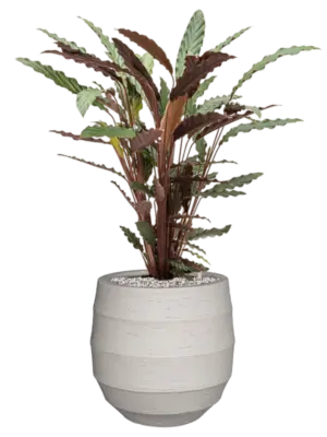 Soil (Vulkastrat)