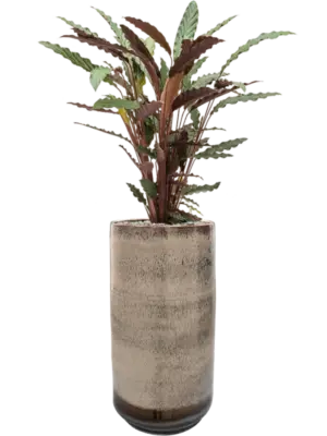 Soil (Vulkastrat)
