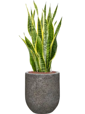Hydroculture
