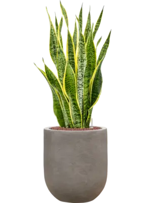 Hydroculture