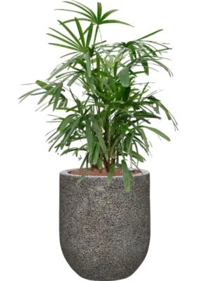Hydroculture