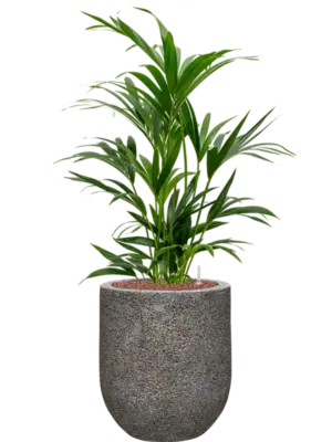 Hydroculture