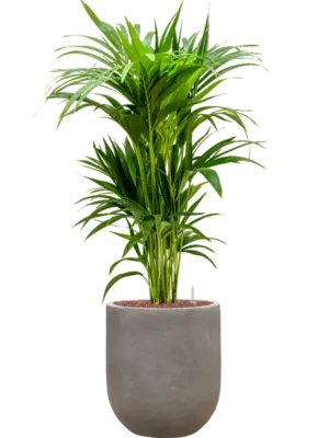 Hydroculture