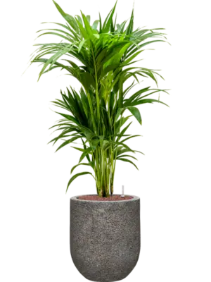 Hydroculture