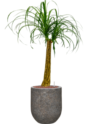Hydroculture