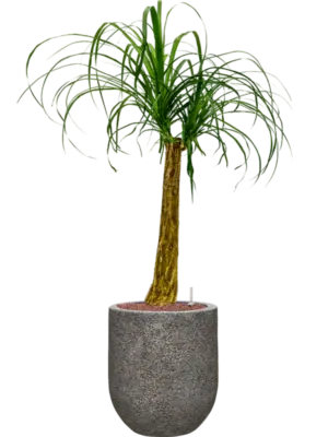Hydroculture