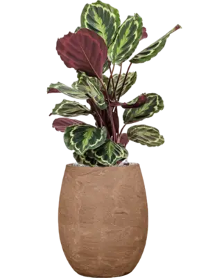 Soil (Vulkastrat)