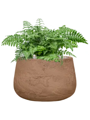 Soil (Vulkastrat)