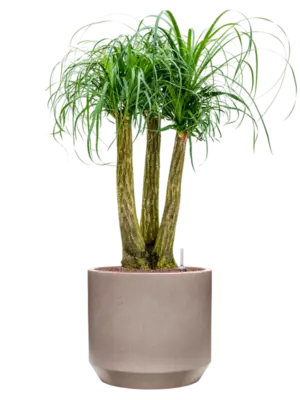 Hydroculture