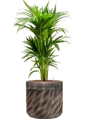 Hydroculture