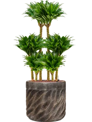 Hydroculture