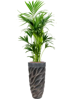 Hydroculture