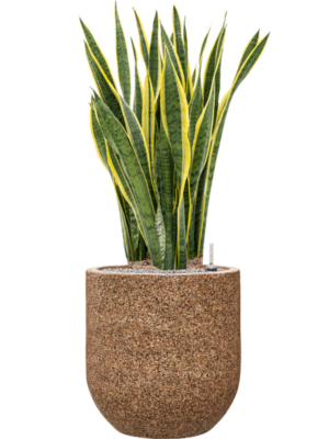 Soil (Vulkastrat)