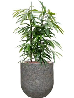 Hydroculture