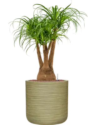 Hydroculture