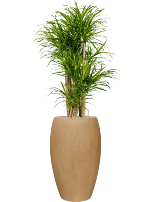 Soil (Vulkastrat)