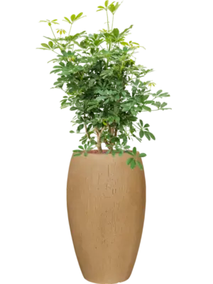 Hydroculture