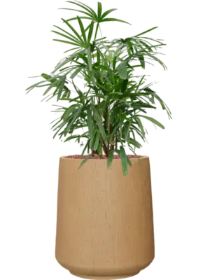 Hydroculture