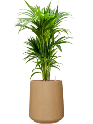 Hydroculture