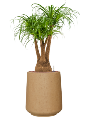 Hydroculture
