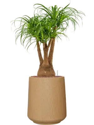 Hydroculture