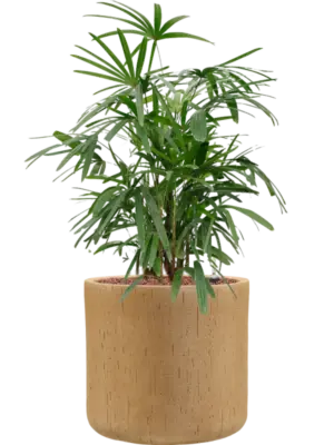 Hydroculture