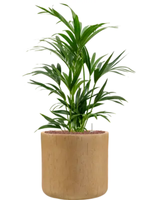 Hydroculture
